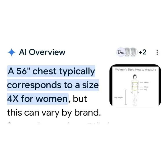 Tom James Holland & Sherry Custom Blazer Pink Womens 56" Chest = 4X - Picture 12 of 15